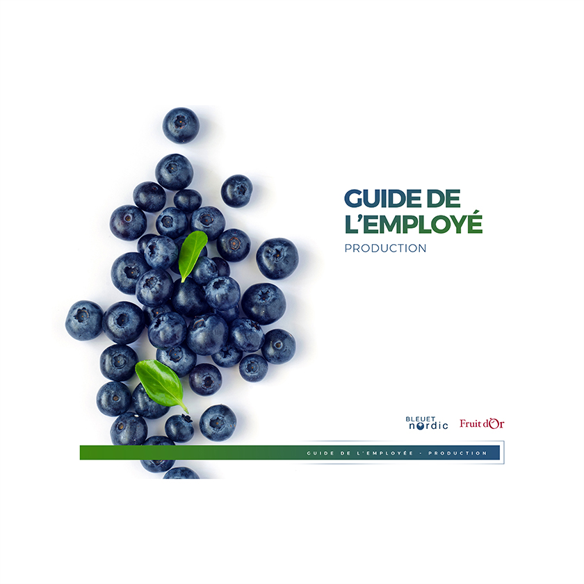 Réalisation Querga